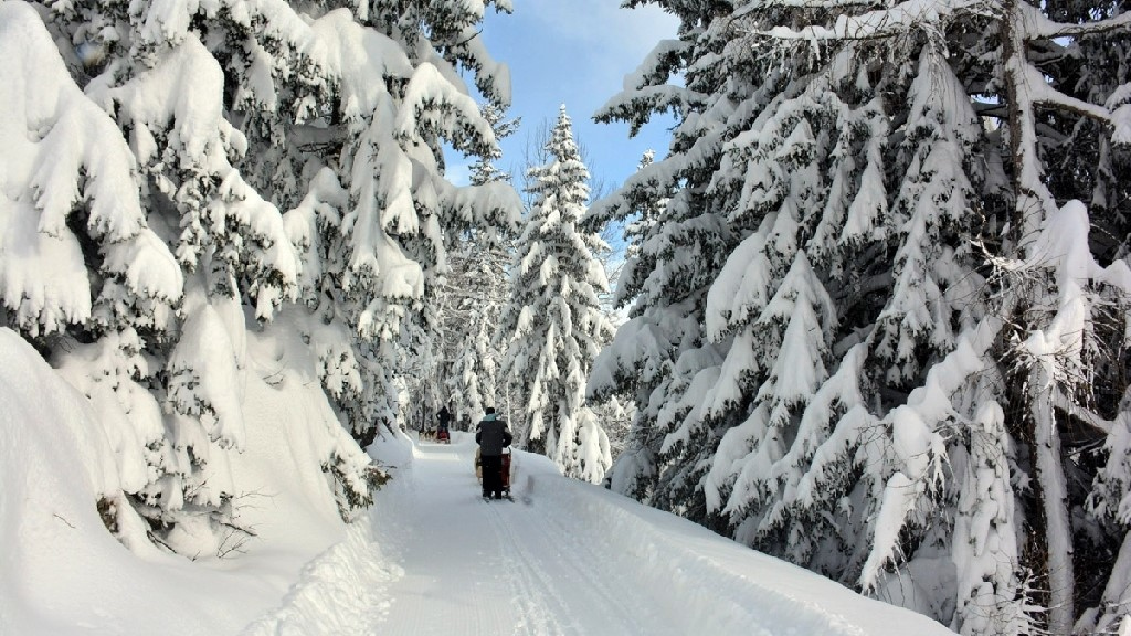 percorso-sled-dog-cosa-fare-in-Valtellina-in-inverno